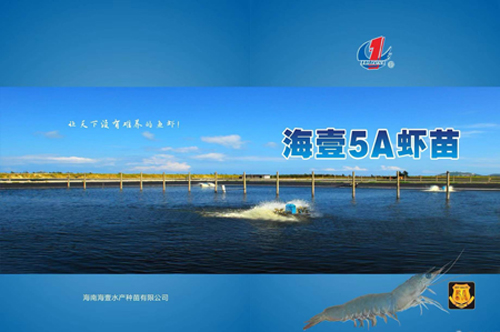 海南海壹5A企业