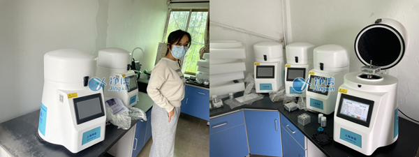 虾苗研磨前后