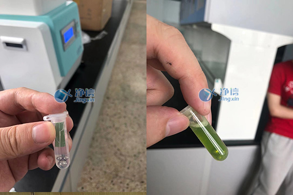 样品研磨效果图