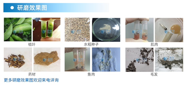 样品研磨效果图.png