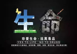 毛发处理仪